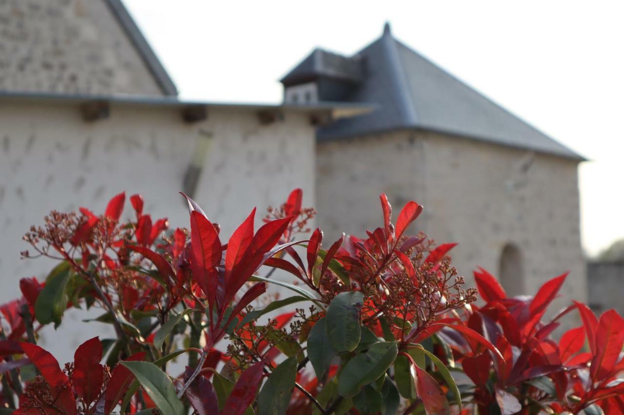 Gites De Saint Remy Villers-Cotterêts Exteriör bild